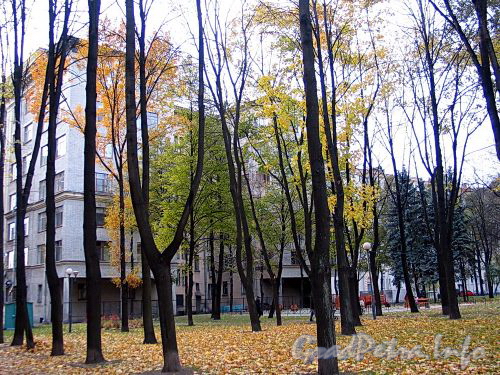 Дома 3 и 5 по Троицкой площади. Вид со двора. Фото октябрь 2010 г.