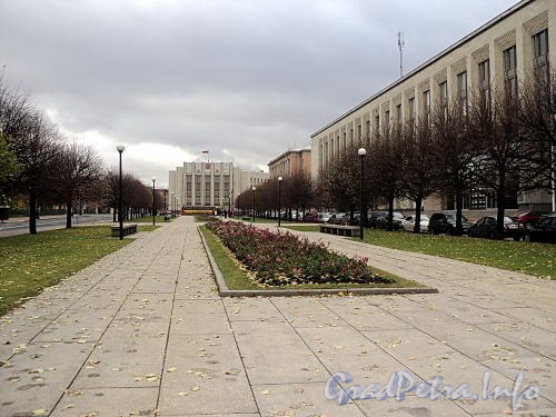 Эспланада перед домом 6 по площади Пролетарской Диктатуры. Фото октябрь 2010 г.