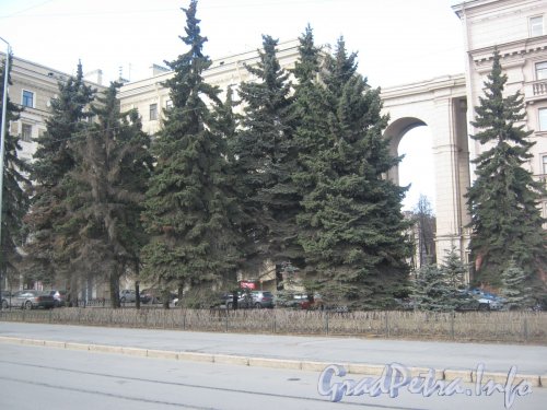 Пл. Чернышевского, дом 3 (слева) и зелёные посадки перед ним. Фото апрель 2012 г.