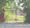 Дорога на Турухтанные острова, дом 4а. Ворота и табличка с номером дома. Фото 28 августа 2012 г.