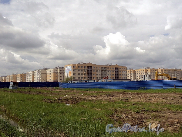 Район Славянка. Строительство нового жилого комплекса. Фото май 2011 г.