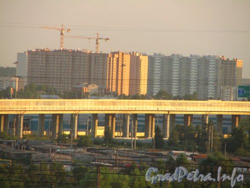 Новостройки в районе Шушары. Вид с Малой Балканской улицы. Фото июль 2012 года.