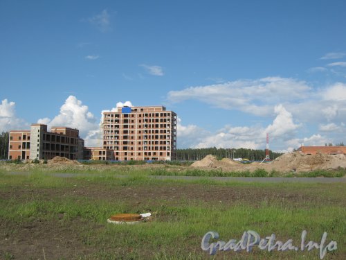 Дорога в Каменку, дом 74, литера А. Строительство зданий. Вид с Парашютной ул. Фото 20 июля 2012 г.