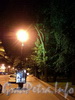 Тротуар Адмиралтейского проспекта вдоль Александровского сада в ночном освещении. Фото июль 2010 г.