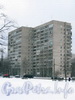 Полюстровский пр., 5 Вид на здание из сада Нева. Февраль 2009 г.