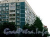 Северный пр., д. 16, корп. 1. Фрагмент фасада жилого дома. Фото июнь 2009 г.