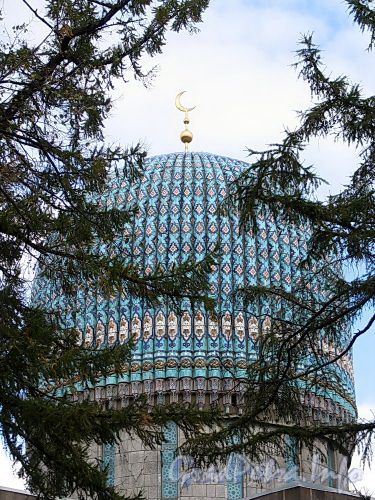 Кронверкский пр., д. 7. Соборная мечеть. Купол. Фото октябрь 2010 г.