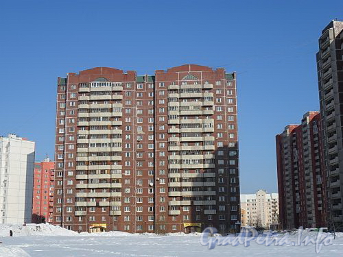 Новоколомяжский пр., 12, корпус 3. Общий вид жилого дома. Фото февраль 2011 г.