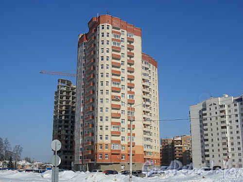 Новоколомяжский пр., 16. Общий вид жилого дома. Фото февраль 2011 г.