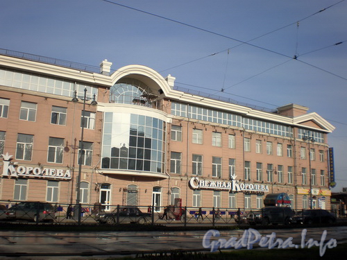 Московский пр., д. 109, общий вид здания. Фото 2008 г.