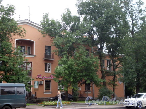 Среднеохтинский пр., д. 31, фрагмент фасада здания. Фото 2008 г.