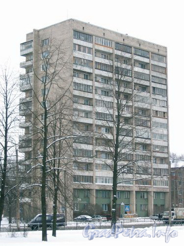 Среднеохтинский пр., 59. Вид на здание из сада Нева. Февраль 2009г.