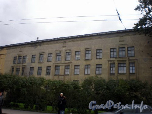 Пр. Медиков, д. 3. Фрагмент фасада здания. Сентябрь 2008 г.