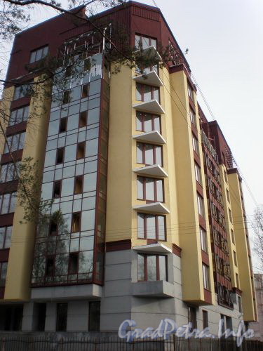 Ярославский пр., д. 11. Фрагмент фасада здания. Апрель 2009 г.