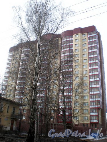 Ярославский пр., д. 14. Общий вид здания. Апрель 2009 г.