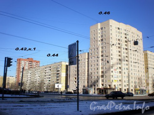 Дома 42,к.1, 44 и 46 по проспект Луначарского. Март 2009 г.