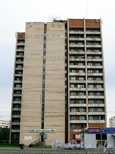 Пр. Художников, д. 16. Вид на здание с пр. Луначарского. Фото июнь 2009 г.