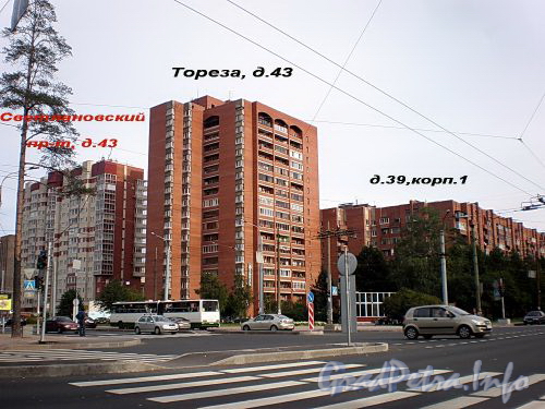 Дома 39, корп. 1 и 43 по проспекту Мориса Тореза и дом 43 по Светлановскому проспекту. Фото сентябрь 2009 г.