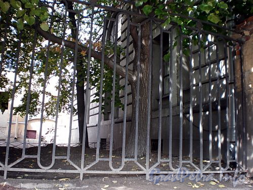 Фрагмент ограды между домами 31 и 35 по Большому проспекту В.О. Фото август 2009 г.