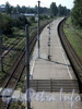 Ж/д станция «Новая деревня». Платформа. Фото август 2011 г.