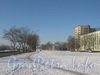 Перспектива пр. Народного Ополчения от дома 243 корпус 1 в сторону ул. Лётчика Пилютова. Фото февраль 2012 г.