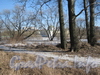 Вид части парка Александрино со стороны пр. Стачек и здания детской музыкальной школы. Фото март 2012 г.