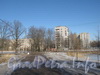 Проспект Стачек, дом 220 корпус 2 (слева) и корпус 3 (в центре). Вид из парка «Александрино». Фото март 2012 г.