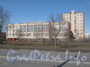 Пр. Народного Ополчения, дом 223 (слева) и дом 223 корпус 2 (справа). Фото март 2012 г.