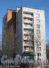 Пр. Ветеранов, дом 71, корпус 5. Вид со стороны парка Александрино. Фото март 2012 г.