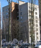 Пр. Ветеранов, дом 71, корпус 4. Вид со стороны проезда параллельно границе парка «Александрино». Фото март 2012 г.
