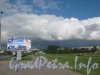 Пешеходная часть нечётной стороны пр. Маршала Жукова перед пересечением с Дорогой на Турухтанные острова.. Фото 28 августа 2012 г.