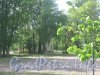 Пр. Стачек, дом 20, литера В. Общий вид здания в парке 9-января с ул. Маршала Говорова. Фото 29 мая 2012 г.