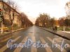 Перспектива улицы Елизарова от улицы Седова в сторону улицы Бабушкина. Фото октябрь 2012 г.