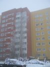 Пр. Маршала Жукова, дом 45. Фрагмент фасада здания и берёза в инее перед ним. Фото утро 10 декабря 2012 г.