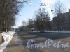 1-Муринский пр. Перспектива от Лесного пр. в сторону ул. Харченко. Фото 10 марта 2013 г.