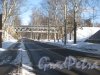Лесной пр. Перспектива от 1-Муринского пр. в сторону Институтского пер. Фото 10 марта 2013 г.