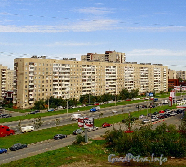 Дунайский пр., д. 26. Общий вид жилого дома. Фото сентябрь 2011 г.