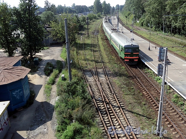 Ж/д станция «Новая деревня». Фото август 2011 г.