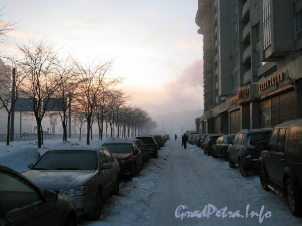 Туман на Ленинском проспекте. Вид от дома 97 в сторону Кронштадской площади. Фото 13 марта 2010 г.