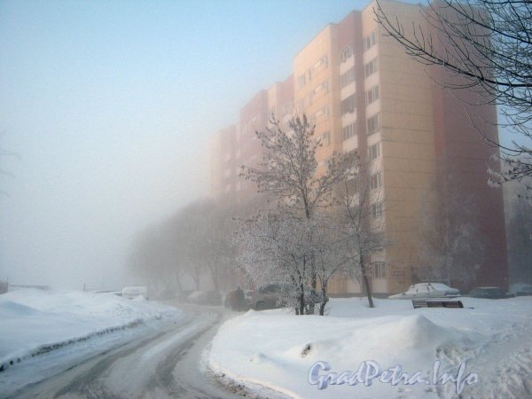 Туман на Ленинском проспекте. Вид на дом 45 по проспекту Маршала Жукова. Фото 13 марта 2010 г.