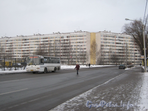 Пр. Ветеранов, д. 133. Вид от перекрёстка Тамбасова и Ветеранов. Фото январь 2012 г.
