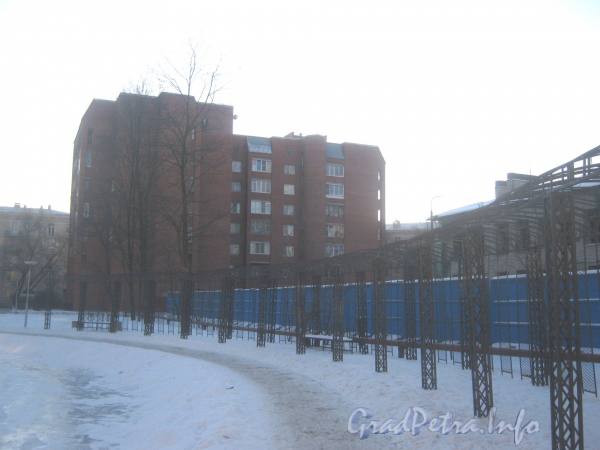 Пр. Стачек, дом 164 и вид на правую часть живой изгороди пруда. Фото январь 2012 г.