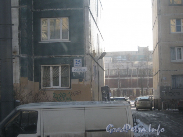 Пр. Косыгина, дом 25, корпус 1. Фрагмент фасада жилого дома. Фото февраль 2012 г.