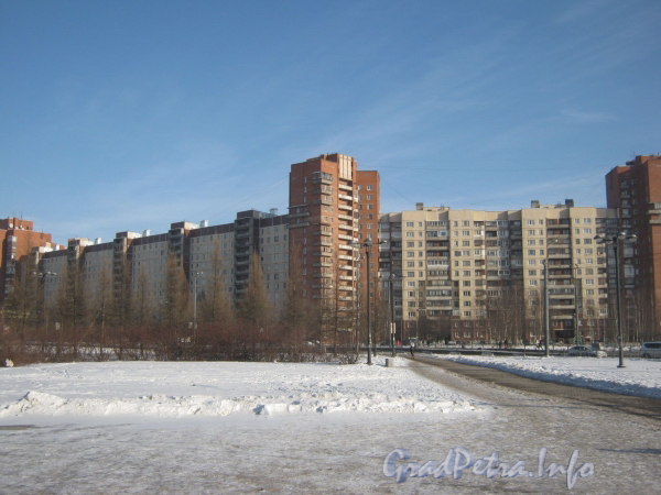 Российский пр. дом 3, корп. 1 (левый) и дом 1 (правый). Вид от Ледового Дворца. Фото февраль 2012 г.