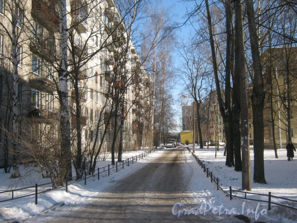 Пр. Ветеранов, дом 152, корп. 1. Проезд вдоль дома в сторону ул. Тамбасова. Фото февраль 2012 г.