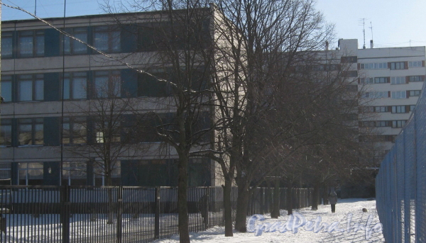 Проход от ул. Бурцева мимо здания школы (дом 9 слева) к дому 99 по пр. Ветеранов. Фото февраль 2012 г.