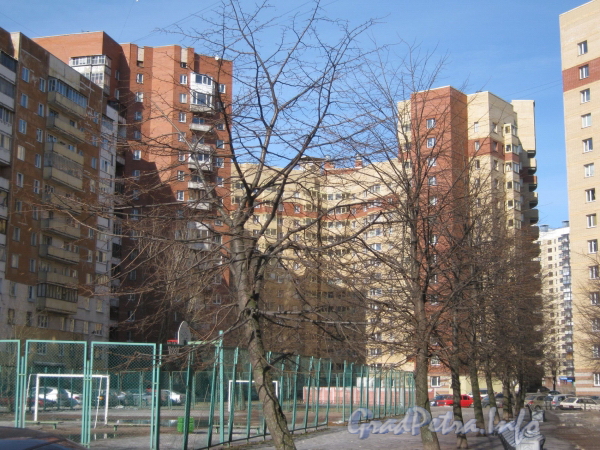 Ленинский пр., дом 77 корпус 1. Вид на здание со стороны двора дома 79 корпус 1. Фото март 2012 г.