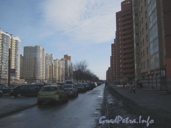 Перспектива пешеходной части нечётной стороны Ленинского проспекта от проспекта Кузнецова в сторону Брестского бульвара. Фото март 2012 г.