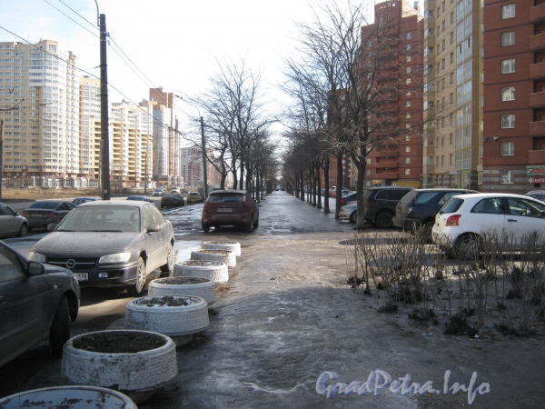 Перспектива аллеи вдоль Ленинского пр. с нечётной стороны от пр. Кузнецова в сторону Брестского бульвара. Фото март 2012 г.