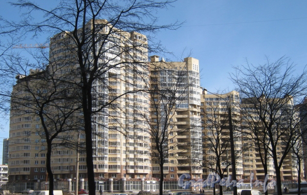 Ленинский пр., дом 82 корпус 1. Общий вид со стороны дома 77 корпус 2. Фото март 2012 г.